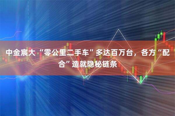 中金宸大 “零公里二手车”多达百万台，各方“配合”造就隐秘链条