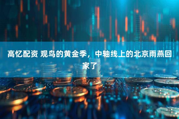 高忆配资 观鸟的黄金季，中轴线上的北京雨燕回家了