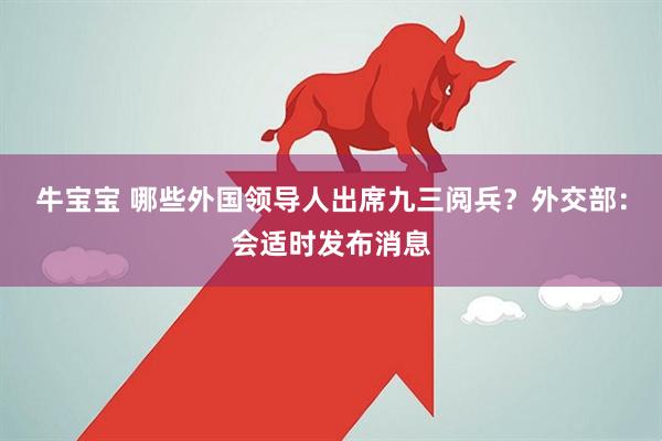 牛宝宝 哪些外国领导人出席九三阅兵？外交部：会适时发布消息