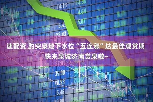 速配资 趵突泉地下水位“五连涨”达最佳观赏期 快来泉城济南赏泉啦~